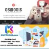 Osmosis - Responsive Multi-Purpose WordPress Theme Latest - Best Selling WordPress Themes